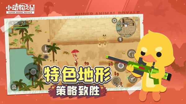 小动物之星国际服