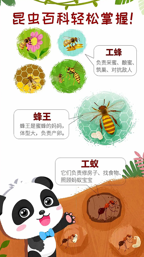 奇妙昆虫世界