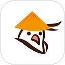 青鸽网App
