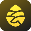 松果出行App