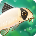 池趣(Pondlife)