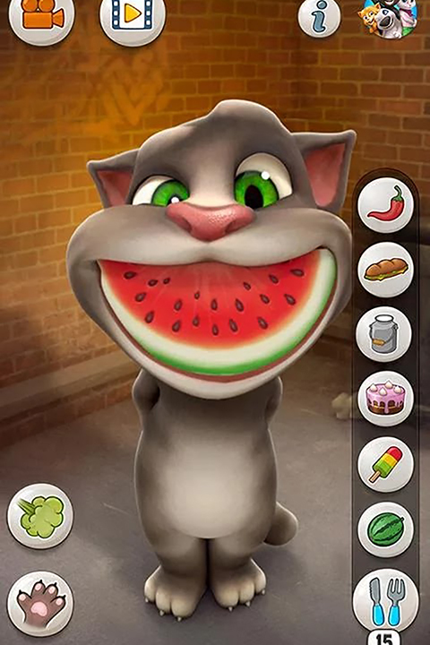 会说话的汤姆猫单机版