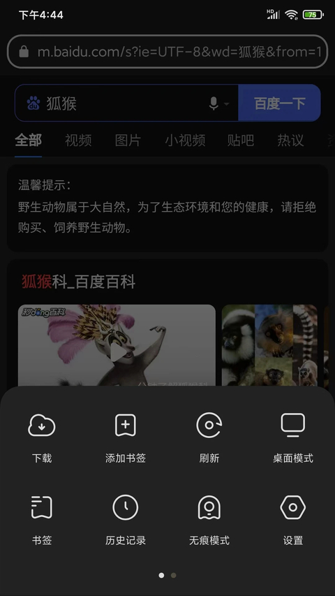 狐猴浏览器app官方版(Lemur Browser)