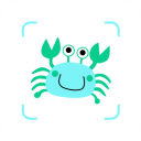 看鱼App