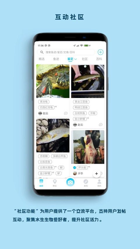 看鱼App
