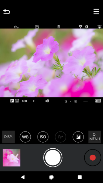 松下LUMIX Sync官方版