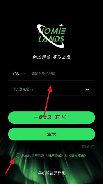 云外比邻岛