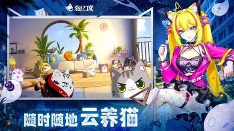 猫之城