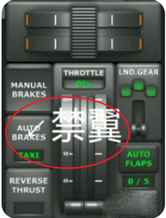 TFS飞行模拟器
