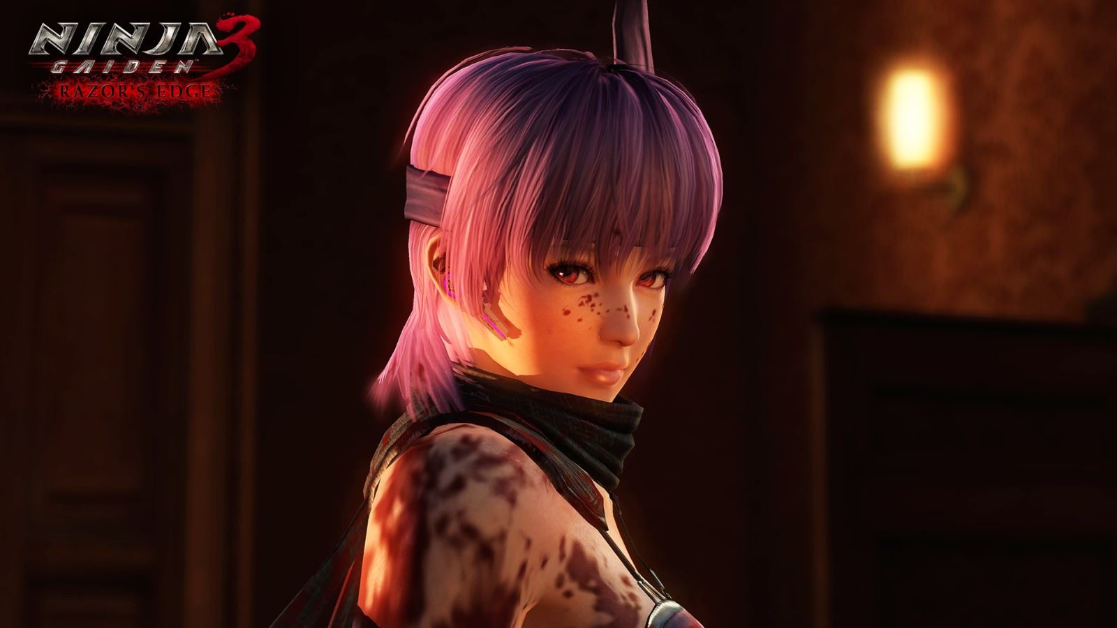 忍者龙剑传3(Ninja Gaiden 3)