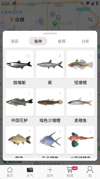 渔获潮汐天气预报