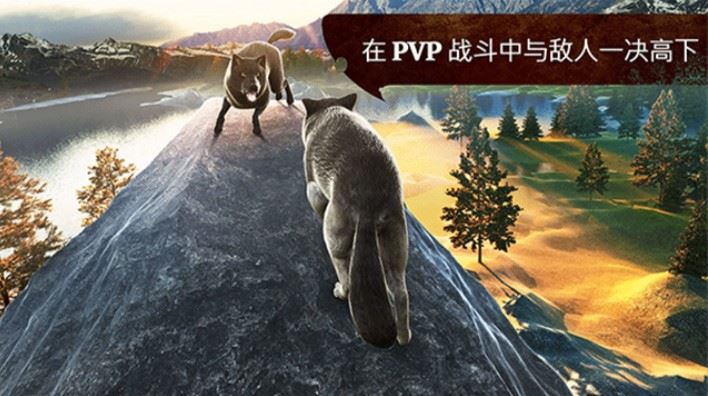 相关图片