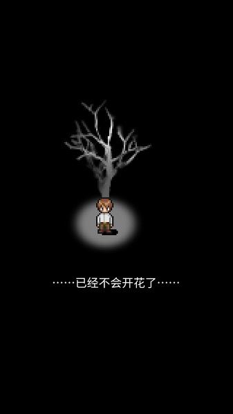 相关图片