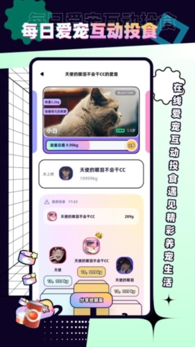 Petpet