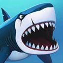 我的鲨鱼秀（My Shark Show）