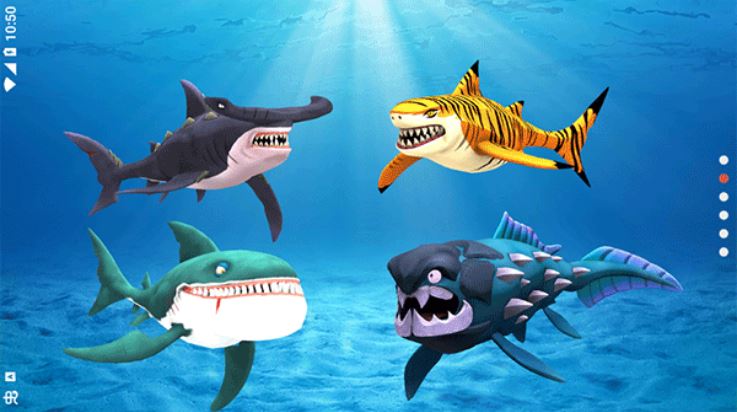 我的鲨鱼秀(My Shark Show)