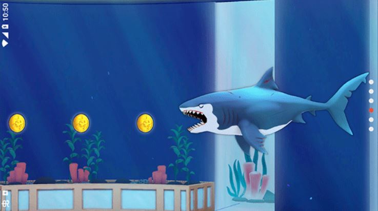 我的鲨鱼秀(My Shark Show)