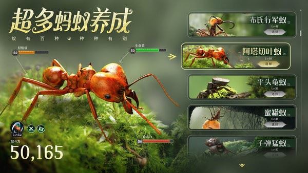 蚂蚁地下王国