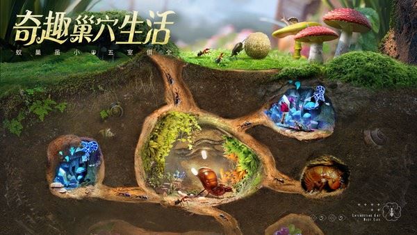 蚂蚁地下王国